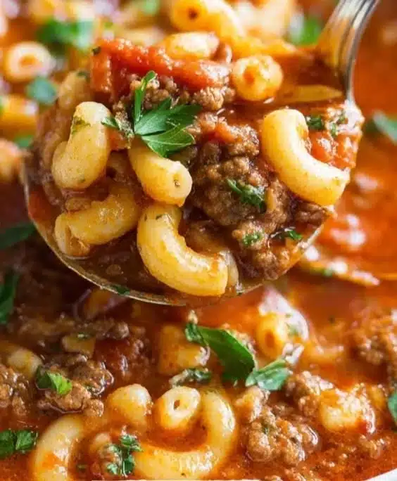 Beef and Macaroni Soup
