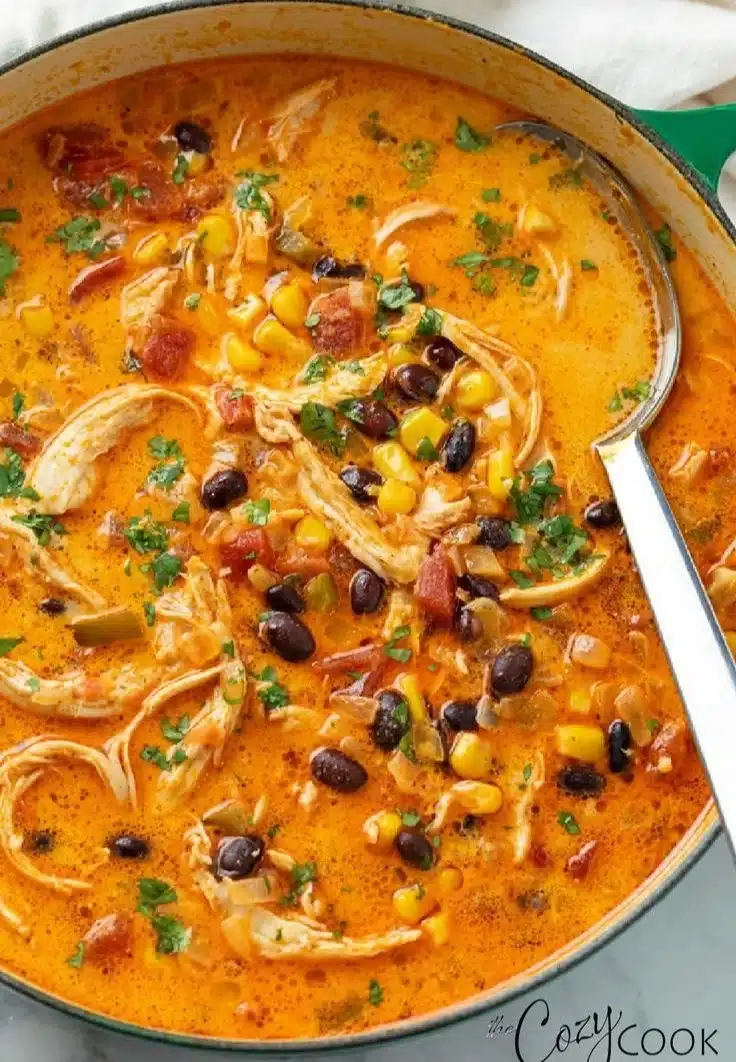 Chicken Enchilada Soup