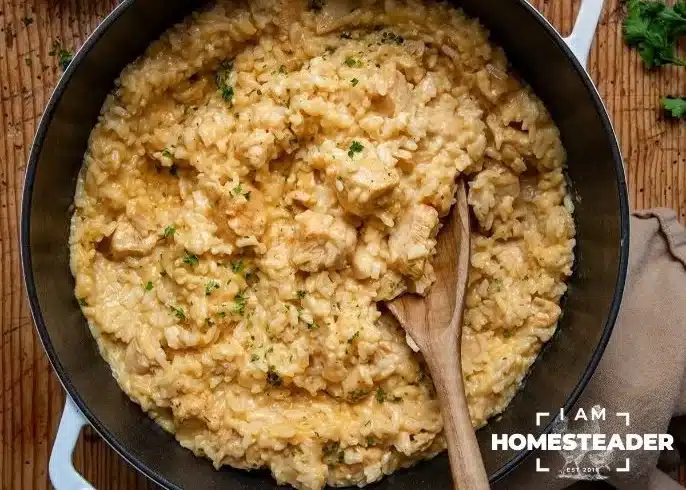 Garlic Parmesan Chicken & Rice